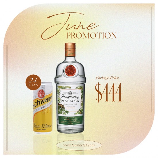 Tanqueray (Malacca) Gin – litre Tanqueray (Malacca) Gin – litre