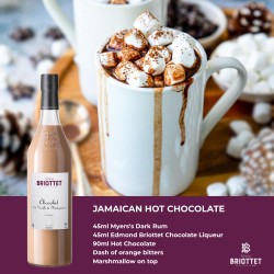 Chocolate is happiness that you can eat. Let‘s have a look of the chocolate cocktail recipe and toast to the National Hot Chocolate Day!