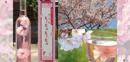 適逢日本開始係櫻花季，大家要試吓依支個樽有朵盛開嘅櫻花嘅日本北岡櫻花力嬌，甜甜酸酸非常容易入口。