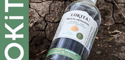Tequila is a type of Mezcal, and Mezcal is defined as any agave based...