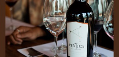 Ventisquero (Vertice) Carmenere Syrah 2020, goes well with semi-ripe cheese, with this wine has a firm structure....