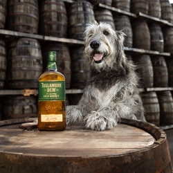 Happy Irish Whiskey Day!