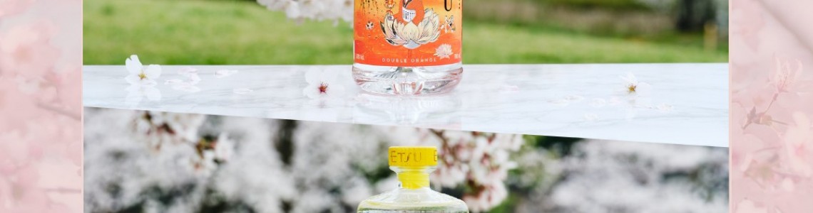 ETSU Double Yuzu and Double Orange Gin