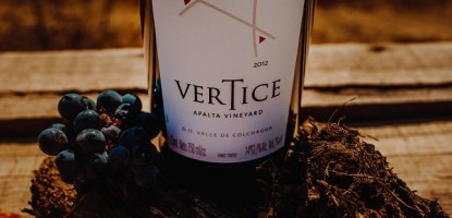 Ventisquero Vertice