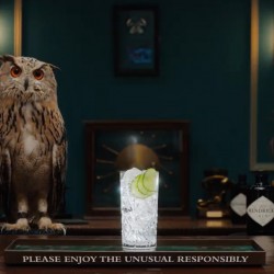 Hendrick’s Gin & Tonic