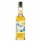 Giffard Agave (Agave) Sirop